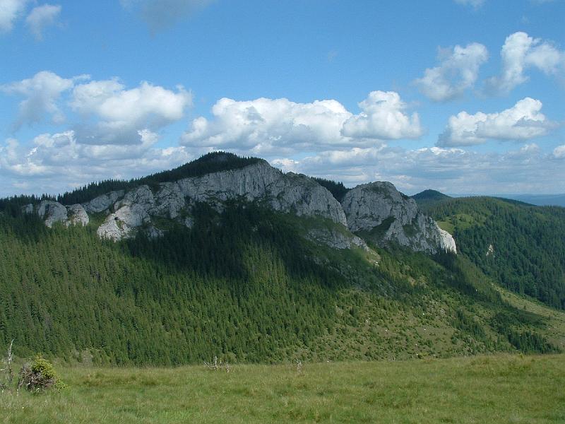 Kep 088 feher kovek